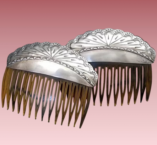 hairclips_0.png