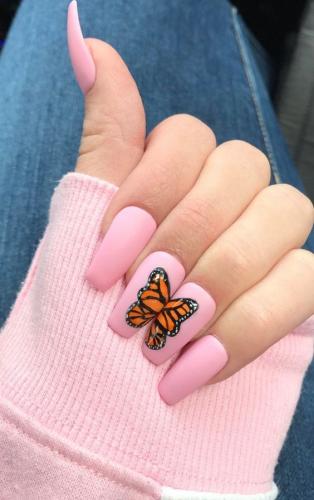 Butterfly Design.jpg