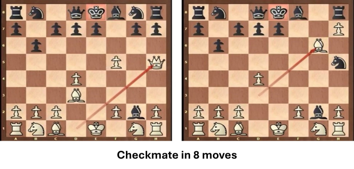 Checkmate.jpg