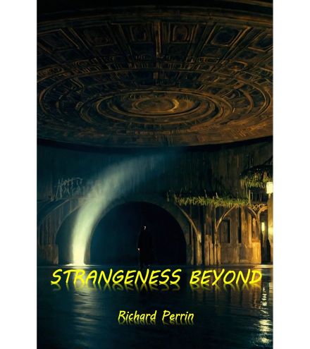 Strangeness Beyond cover 20%_0.jpg