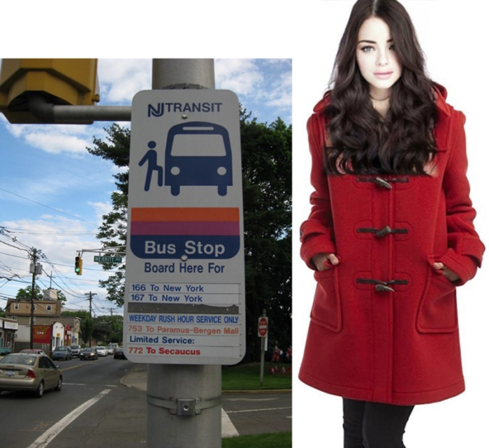 shuggiebusstop.jpg