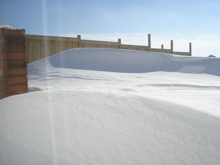 Drift in backyard - Copy.JPG