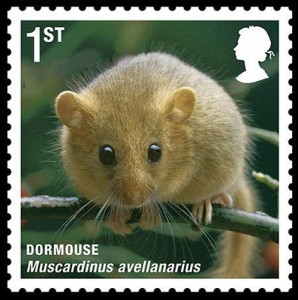 20100416_dormouse_stamp-298x300.jpg