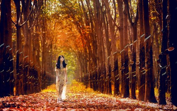 woman-walking-through-the-forest-girl-hd-wallpaper-1920x1200-51364.jpg