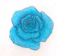 BlueRose1a-s.jpg