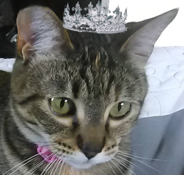 Princess Bobbi.jpg