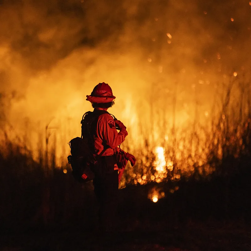 Wildfire-p0l5s7g6.jpg