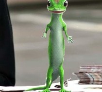 small_geico4.jpg