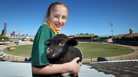 334741-murphys-creek-state-school-at-ekka.jpg