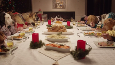 441591_121814-ktrk-freshpet-holiday-video-img_0.jpg