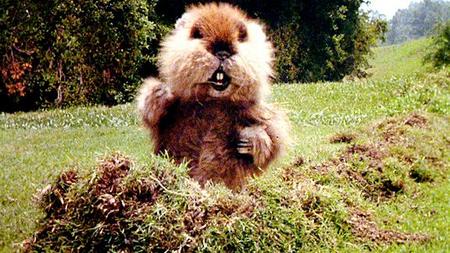 caddyshack-gopher-dancing.jpg