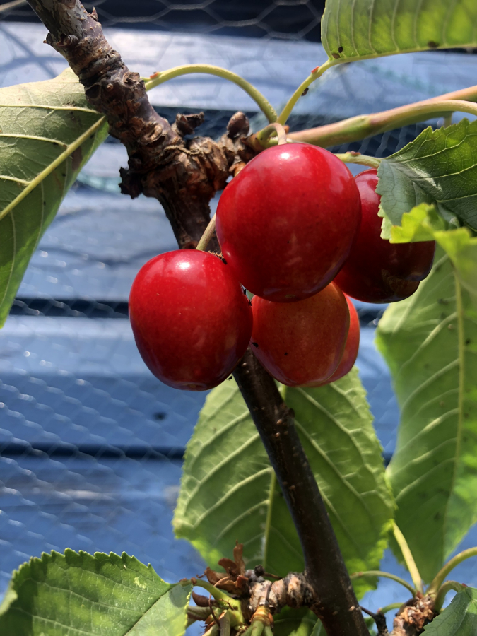 IMG_0444.JPEG