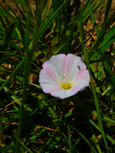 DSCN6055.jpg