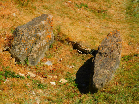 DSCN6069.jpg