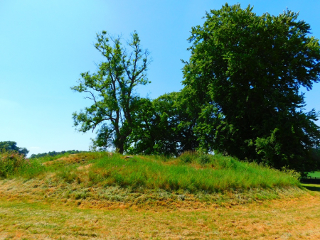 DSCN6077.jpg