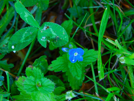 DSCN6082.jpg