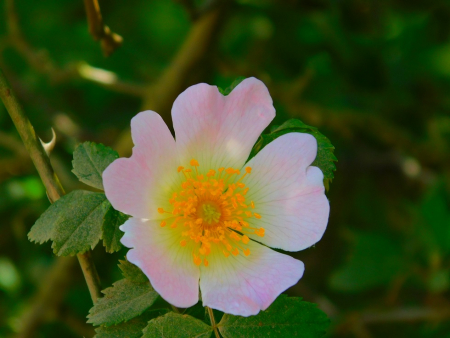 DSCN6117.jpg