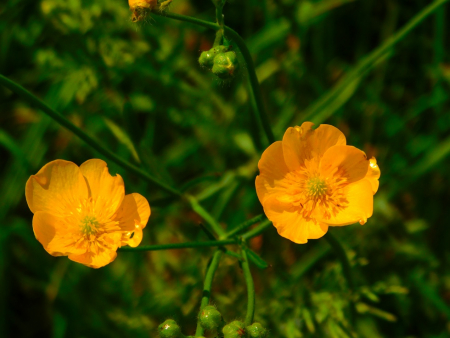 DSCN6119.jpg