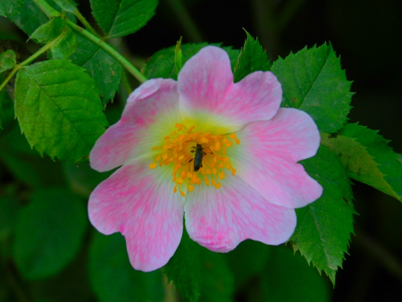 DSCN6123.jpg