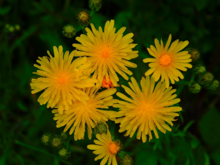 DSCN6134.jpg