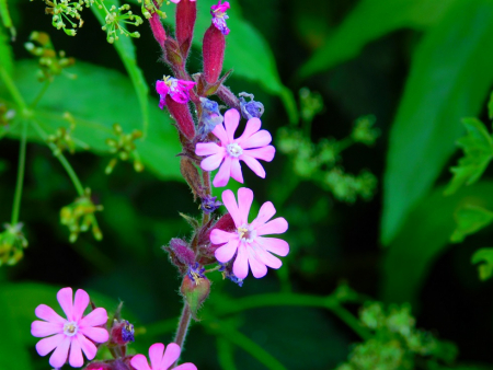 DSCN6145.jpg