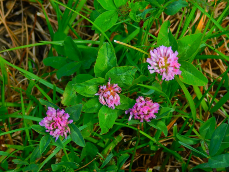 DSCN6147.jpg