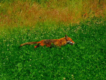 DSCN6149.jpg