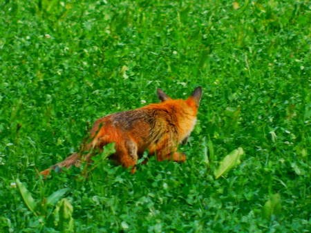 DSCN6153.jpg
