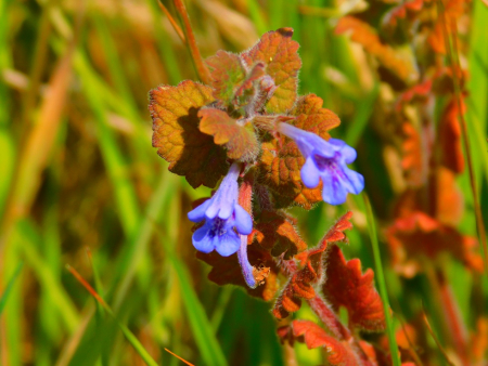 DSCN6167.jpg