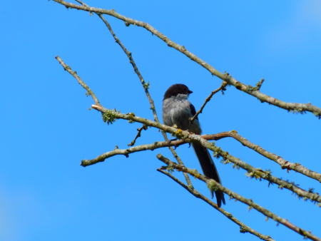 DSCN6168.jpg