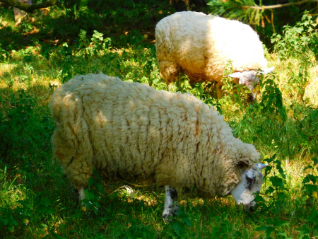 DSCN6172.jpg