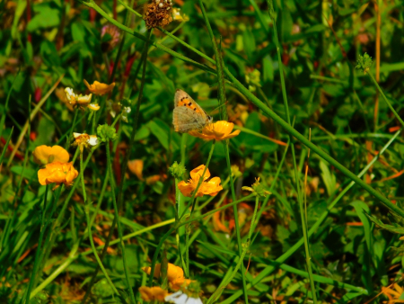 DSCN6173.jpg