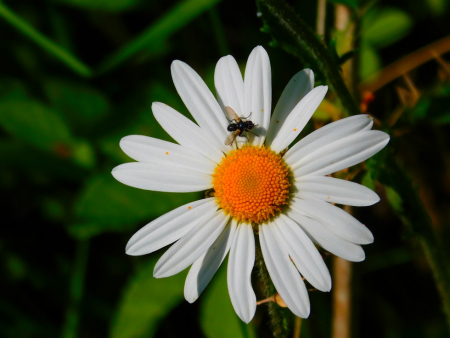 DSCN6175.jpg