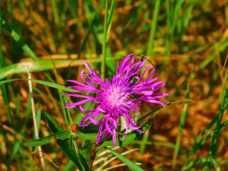 DSCN6186.jpg
