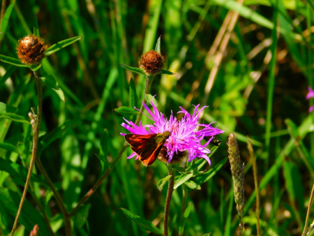 DSCN6188.jpg