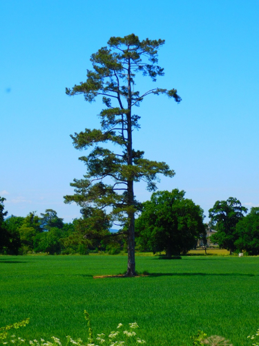 DSCN6232.jpg