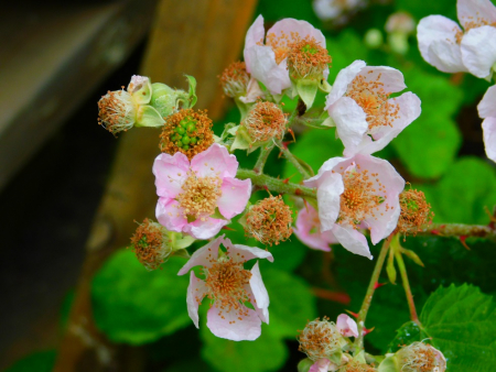 DSCN6240.jpg