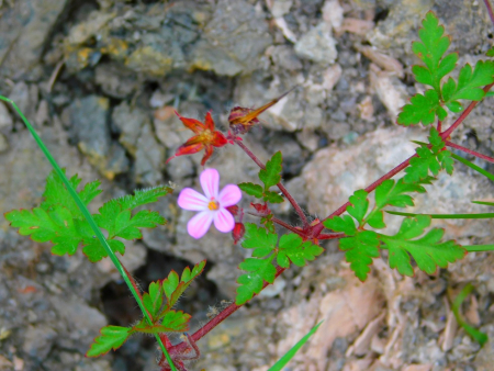 DSCN6244.jpg