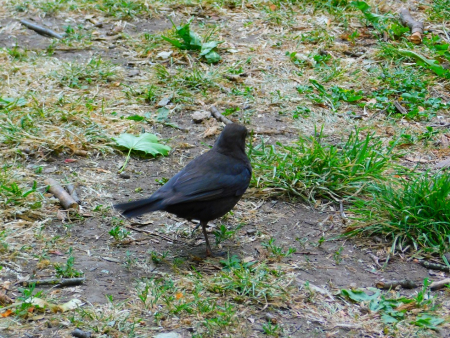DSCN6245.jpg