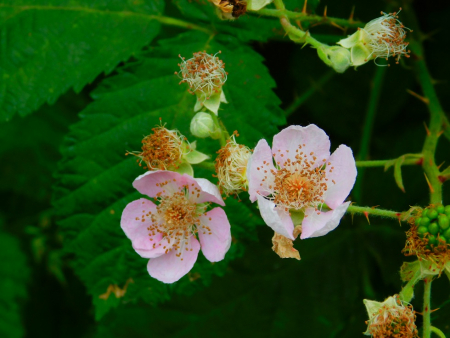 DSCN6257.jpg