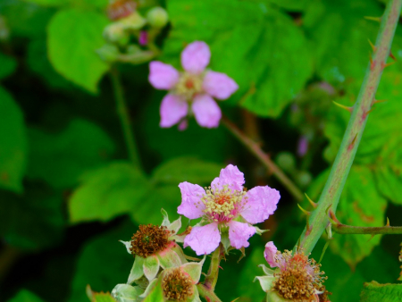 DSCN6261.jpg