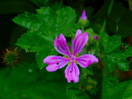DSCN6265.jpg