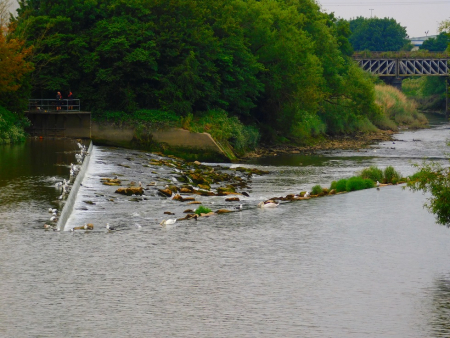DSCN6274.jpg