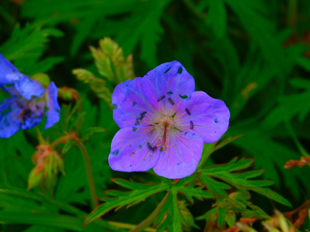 DSCN6289.jpg