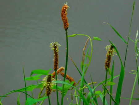 DSCN6292.jpg