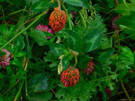 DSCN6293.jpg