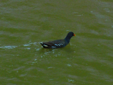 DSCN6302.jpg