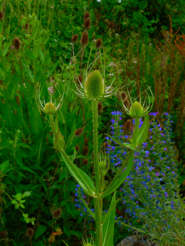 DSCN6303.jpg
