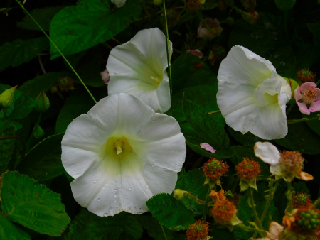 DSCN6328.jpg