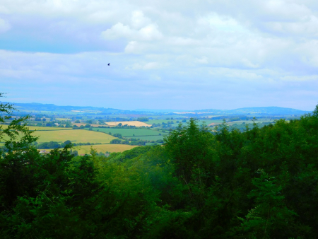 DSCN6329.jpg